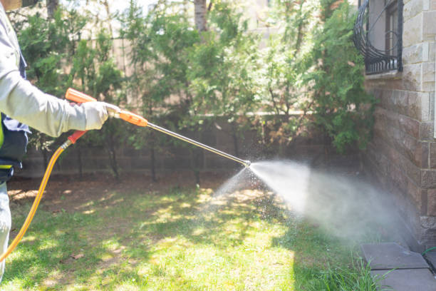 Best Outdoor Pest Control  in Redwater, TX